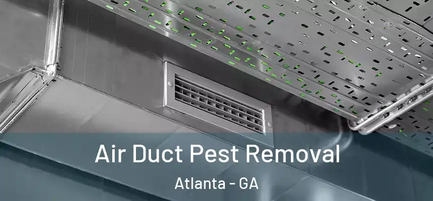  Air Duct Pest Removal Atlanta - GA