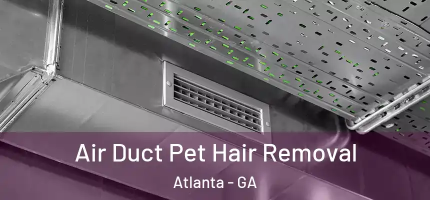 Air Duct Pet Hair Removal Atlanta - GA