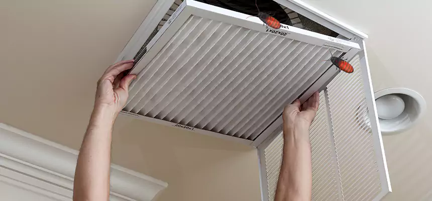 Preventive Cockroach-Proofing for Ducts in Atlanta