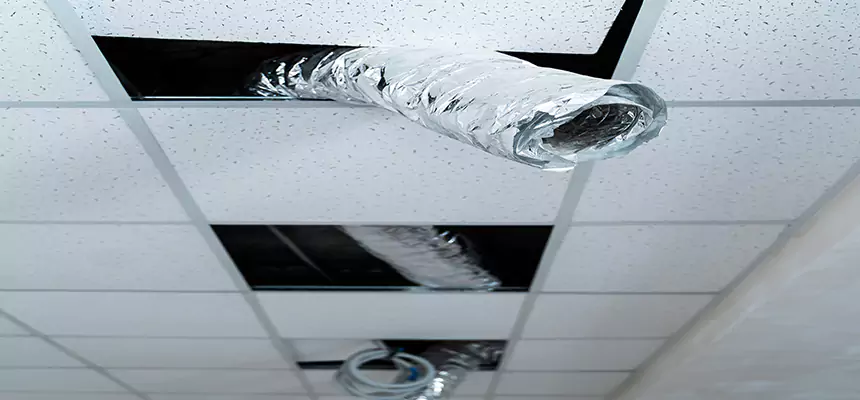 Our Air Duct Pet Hair Removal Services in Atlanta, GA