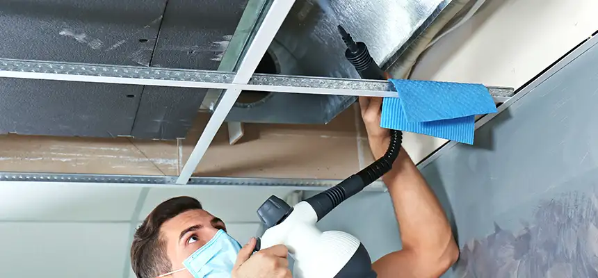 Our Air Duct Rodent Removal Services in Atlanta, GA
