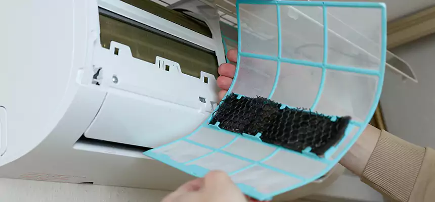 Gentle Ductwork Odor-Control Pet Dander Duct Cleaning in Atlanta, GA