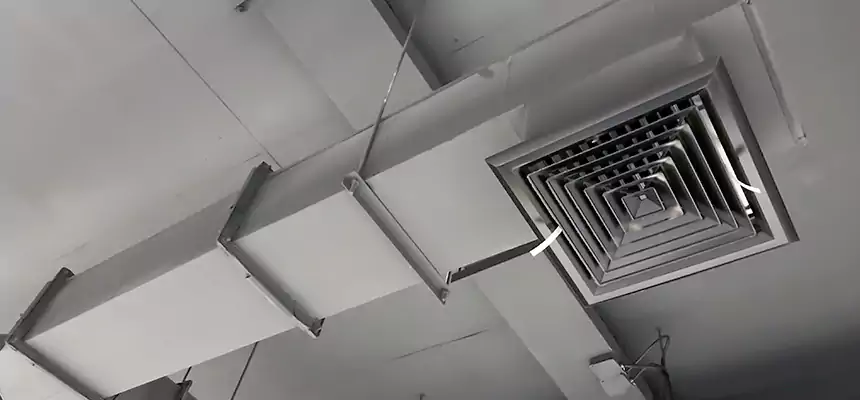 Our Rodent Droppings In Vents Services in Atlanta, GA