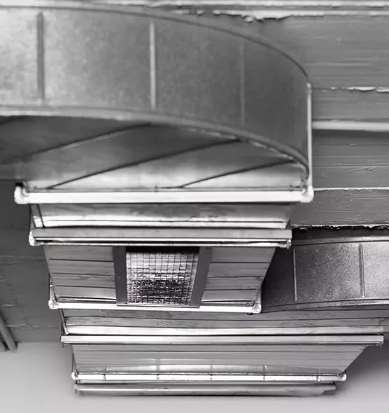 Professional Air Duct Pet Hair Removal in Atlanta, GA