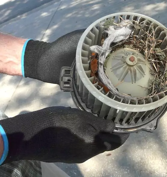 About Air Duct Rat Removal in Atlanta, GA