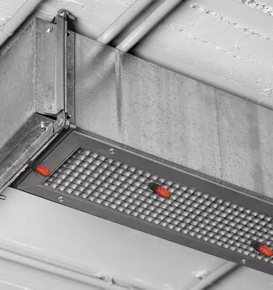 Affordable Insect Removal from Air Ducts in Atlanta, GA