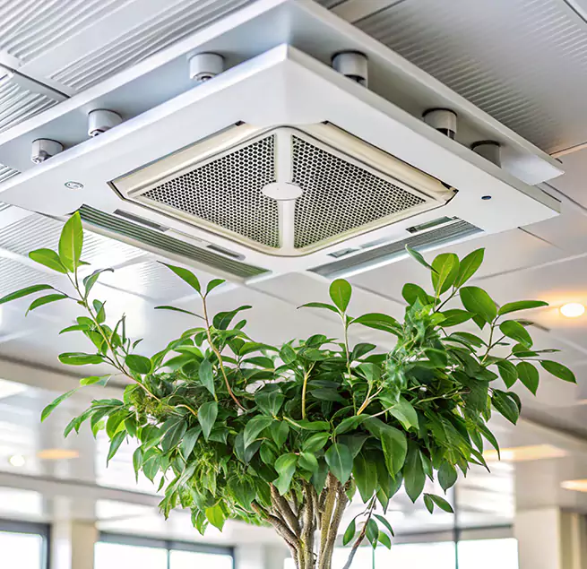 Why Homeowners & Businesses Trust Us in Atlanta, GA