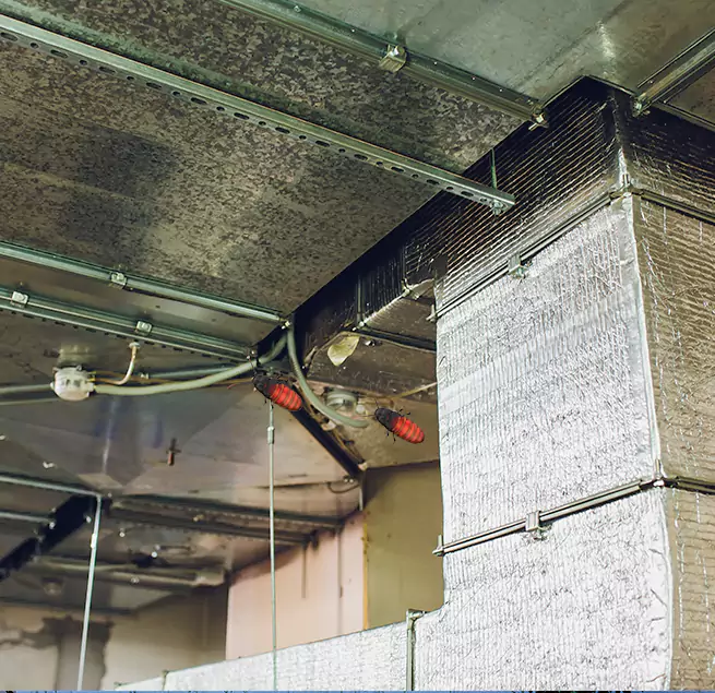 Why Homeowners & Businesses Trust Us Atlanta, GA?